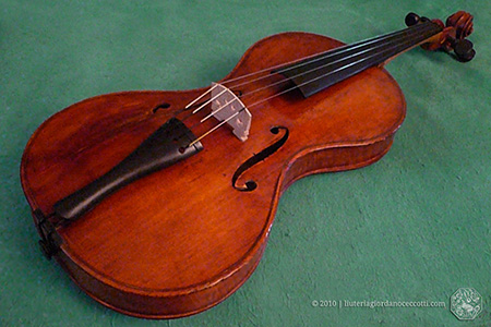 Violino